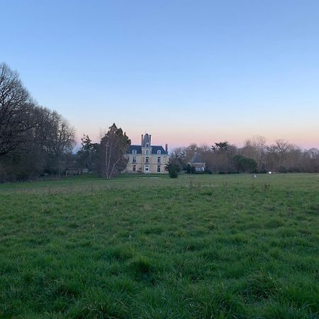 Chateau Le Breil Bed & Breakfast Cholet Exterior photo